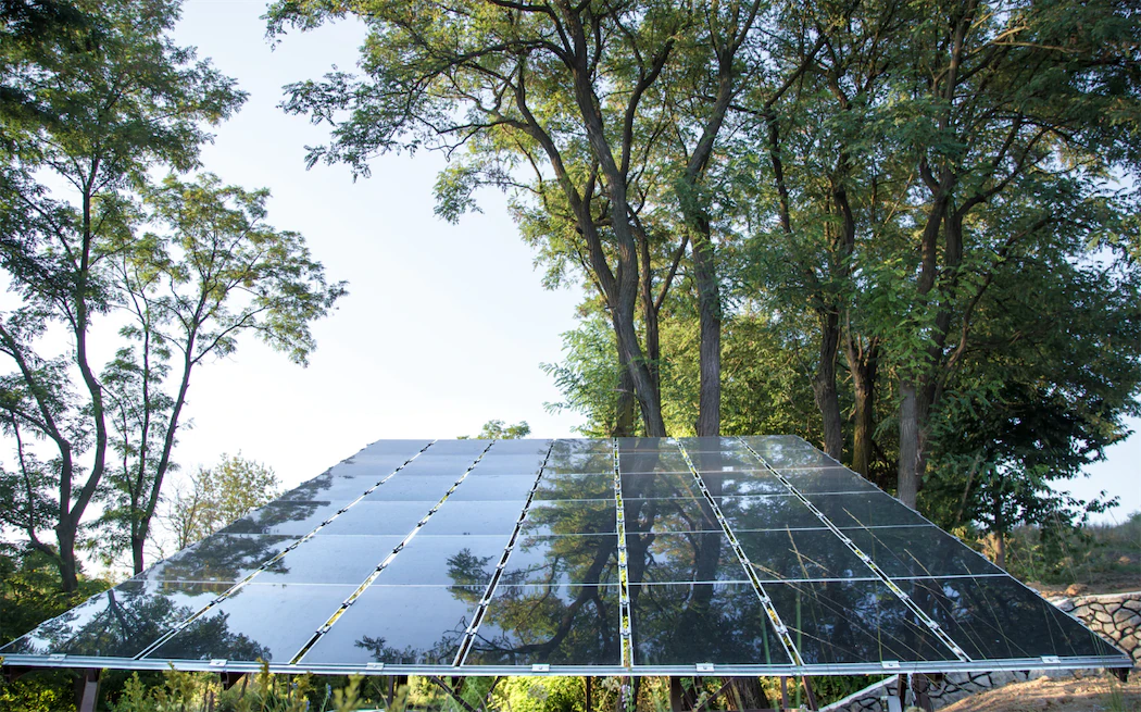Residential solar panel array installed in Bay Shore surrounded by mature trees, demonstrating sustainable energy solutions and potential cost savings for homeowners